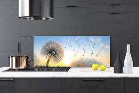 Panel Szklany Puszyste Parasolki Dmuchawca