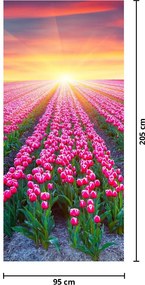 Fototapeta na drzwi - Pole tulipanów ze słońcem (95x205cm)