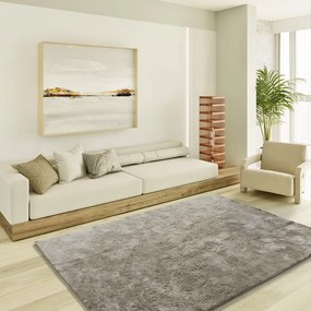 Szarobeżowy dywan 160x230 cm Roma – Universal
