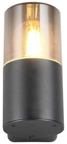 Lampa zewnętrzna (wysokość 17,5 cm) Hoosic – Trio