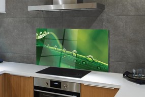 Panel szklany do Kuchni Źdźbło Trawy z Kroplą Rosy