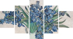 Obraz - Vincent van Gogh, Irises, reprodukcje (125x70 cm)