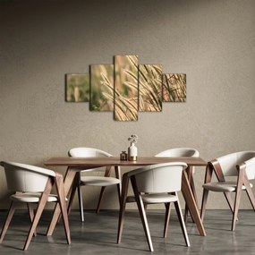 Obraz - Ziarno (125x70 cm)