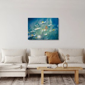 Obraz na szkle - Motyl na stokrotce (70x50 cm)