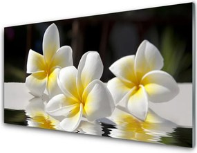 Szkło do Kuchni na Ścianę Harmonijny Bukiet Polny