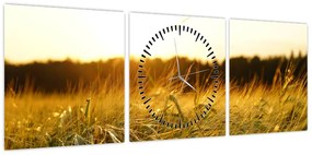 Obraz zroszonej trawy (z zegarem) (90x30 cm)