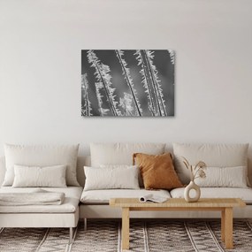 Obraz - Mroźne zimno (70x50 cm)