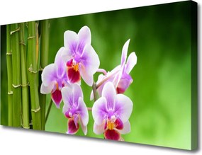 Zdjęcie na płótnie Wyrafinowany Storczyk w Stylu Spa