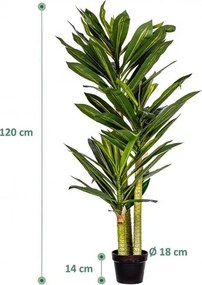 PLANTASIA Dracaena sztuczne drzewo 120 cm, 81 liści