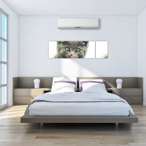 Obraz oblizującego się kotka (170x50 cm)