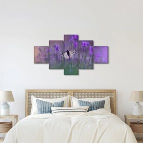 Obraz - Motyl w lawendach (125x70 cm)