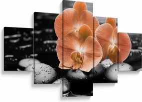 Obraz - Pomarańczowe orchidee (125x70 cm)