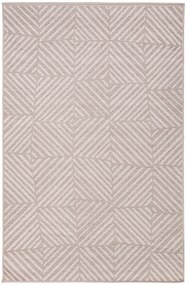 Dywan Flora 50102/D9TD 160x230 Prostokąt