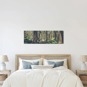 Obraz ścieżki pomiędzy drzewami (z zegarem) (90x30 cm)