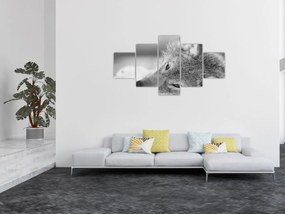 Obraz - Wilk, czarno - biały (125x70 cm)