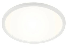 Briloner 7079-016 - Ściemnialna lampa LED SLIM LED/18W/230V 2700-6500K + +pilot