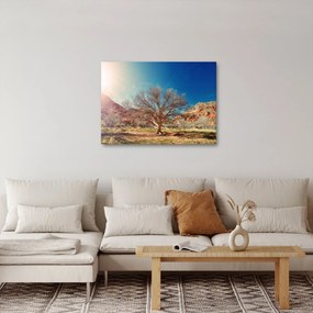 Obraz drzewa na pustyni (70x50 cm)