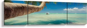 Obraz - Czyste morze z palmą (170x50 cm)