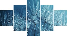 Obraz - Krople rosy (125x70 cm)