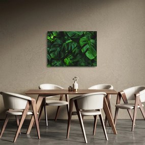 Obraz na szkle liści Monstery (70x50 cm)