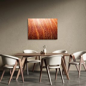 Obraz na szkle - Szczegóły tekstury (70x50 cm)