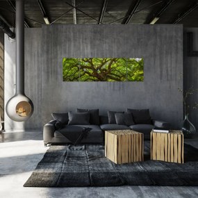 Obraz - Zielone drzewo (170x50 cm)