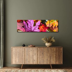 Obraz - jesienne liście (170x50 cm)