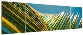 Obraz - Detal liścia palmowego (170x50 cm)