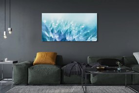 Obraz na płótnie Artystyczna Wizja Dmuchawca