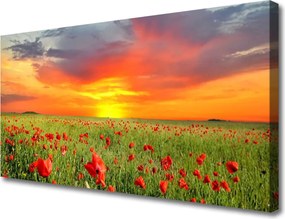 Obraz canvas Maki w Blasku Słońca