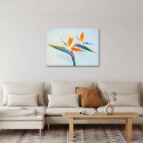 Obraz kwiatu Strelicji (70x50 cm)