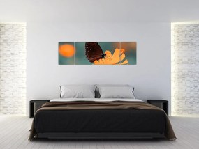 Obraz - motyl na pomarańczowym kwiatku (170x50 cm)