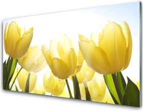 Panel Szklany Tulipany w Blasku Dnia