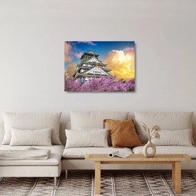 Obraz na szkle - Zamek Osaka (70x50 cm)