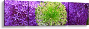 Obraz kwiatu (170x50 cm)