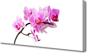 Obraz na płótnie Polne Kwiaty w Słońcu