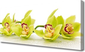 Zdjęcie na płótnie Harmonijny Ogród Kwiatowy