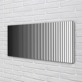 Obraz na płótnie Gradientowy Wzór Zebry