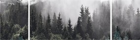 Obraz - Las z ilustrowanymi elementami (170x50 cm)