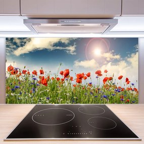 Panel Szklany Letnia Łąka w Blasku Dnia