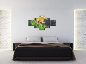 Obraz mchu z grzybem (125x70 cm)