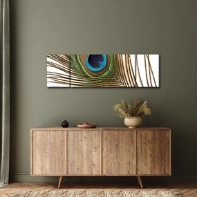 Obraz pawich piór (170x50 cm)