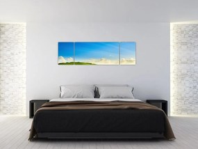 Obraz - Wiosenne niebo (170x50 cm)