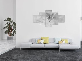 Obraz - Sowa na polu (125x70 cm)