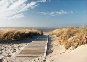 Obraz - Piaszczysta plaża na wyspie Langeoog, Niemcy (70x50 cm)