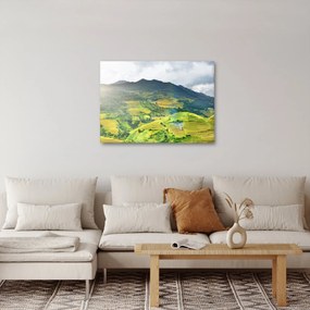 Obraz plantacji (70x50 cm)