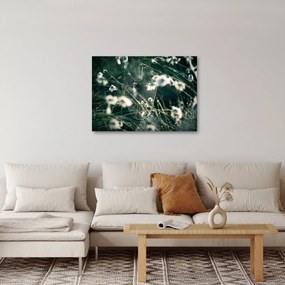 Obraz - Pajęczyna (70x50 cm)