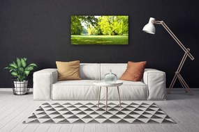 Obraz canvas Parkowa Aleja w Słońcu