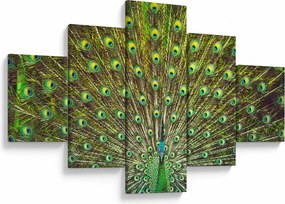 Obraz - Paw (125x70 cm)