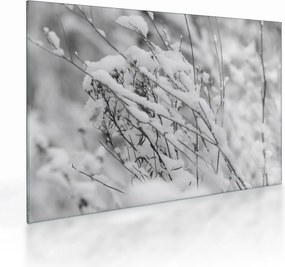Obraz na szkle - Ośnieżone gałęzie (70x50 cm)